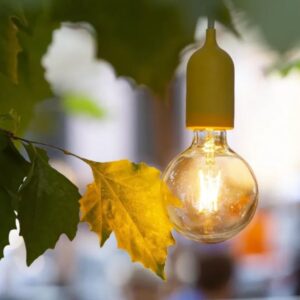 LED Bulb Vintage Rustic Style 4W Filament Bulb Decor Lamp 1Pcs