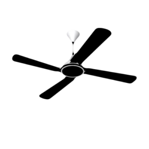Ceiling Fans